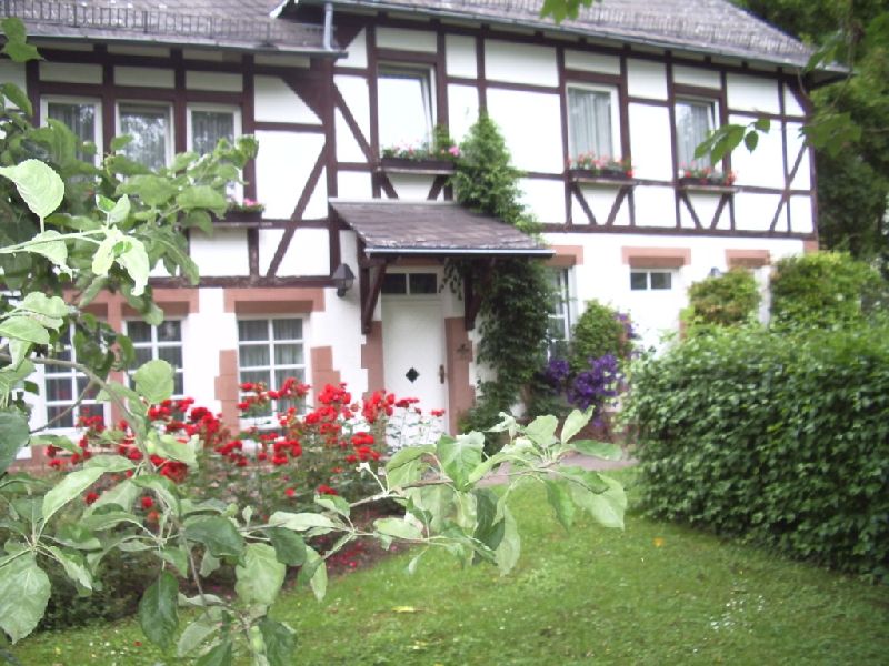 2011- 303.jpg
